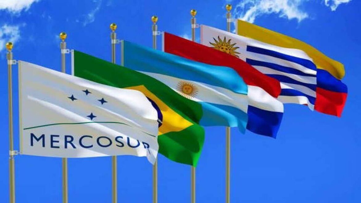 ARGENTINA SUSPENDE SU PARTICIPACIÓN EN EL MERCOSUR